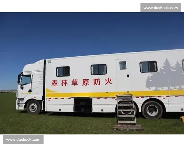 辛巴带你走进草原王国探索生命轮回与勇气成长的传奇旅程