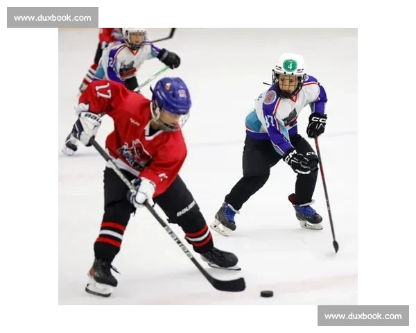 雪上飞驰的冰上芭蕾，冰球直播让你肾上腺素飙升！