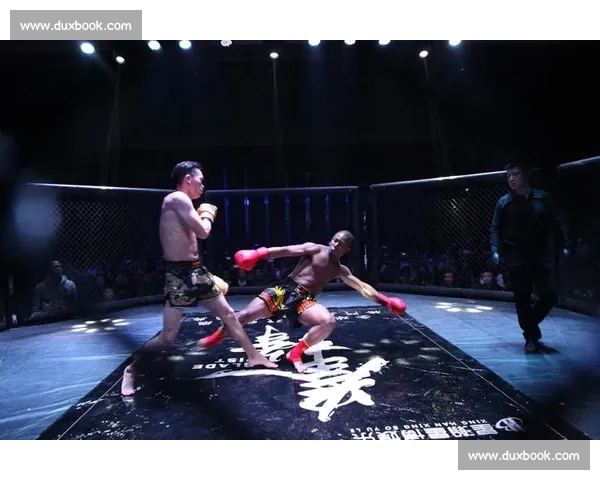 拳击擂台热血澎湃,全运数据榜上的硬汉对决