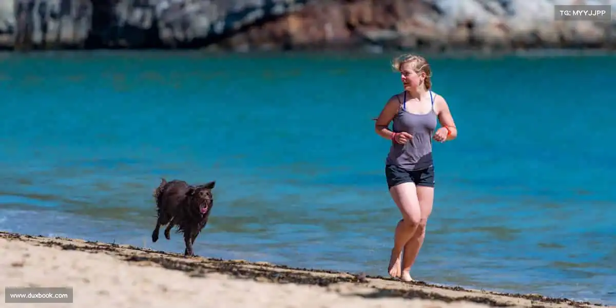 我们的品牌价值